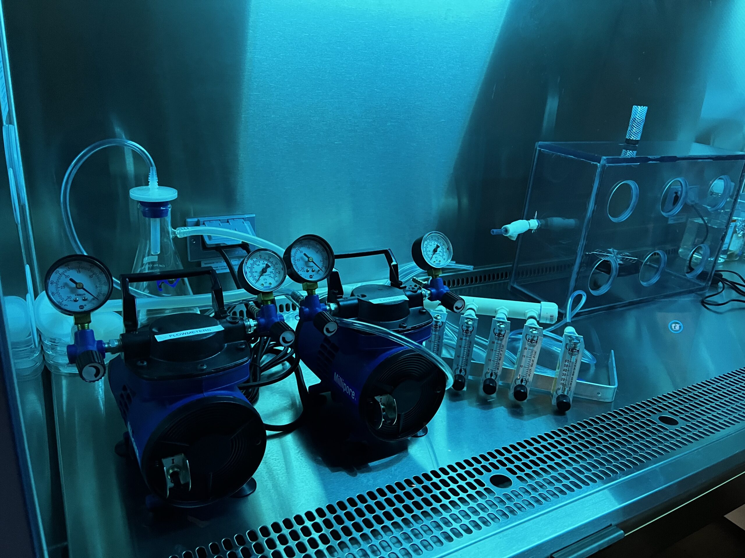 microbial ranking lab