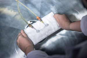 Expert performing a bubble leak test on a pouch.